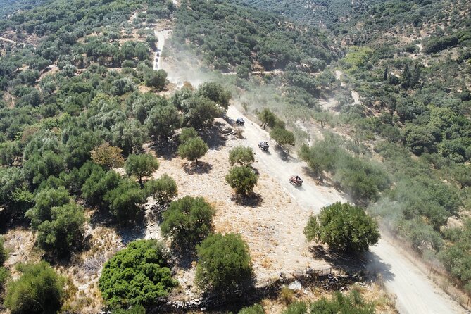 Crete 5-Hour Quad Safari Experience - Neapoli and the Vassilakis olive press tour in the estate