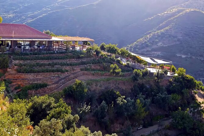 Crete Above the Clouds: Private 4x4 White Mountains Safari - Botanical Park and Gardens of Crete: Plants With a Story After Fire