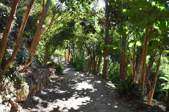 Crete Above the Clouds: Private 4x4 White Mountains Safari - Omalos Village Break: Mountain Life Without the Rush