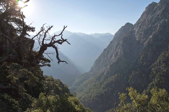 Crete Above the Clouds: Private 4x4 White Mountains Safari - Price and Value: Is $211.63 Worth It for a 4x4 Day?