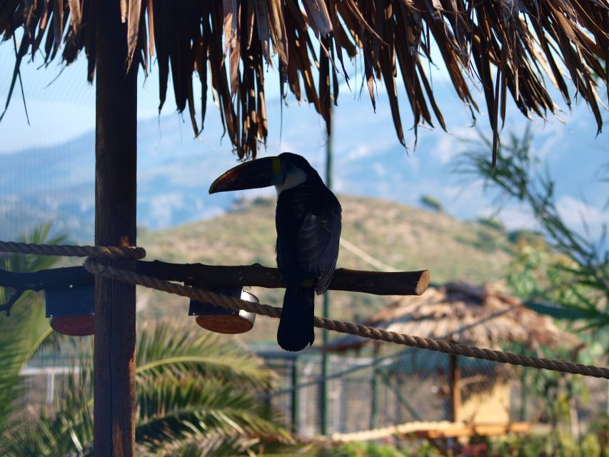 Crete: Agios Nikolaos, Kritsa and Amazonas Park Day Trip - Market time and Greek coffee, without turning it into a shopping marathon