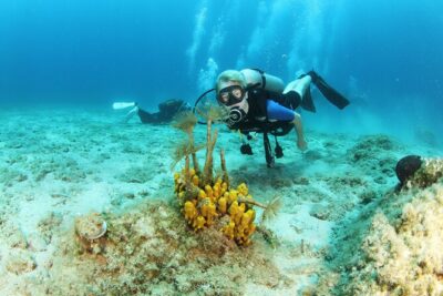 Chania: Snorkeling & Scuba Dive for Beginners by Boat