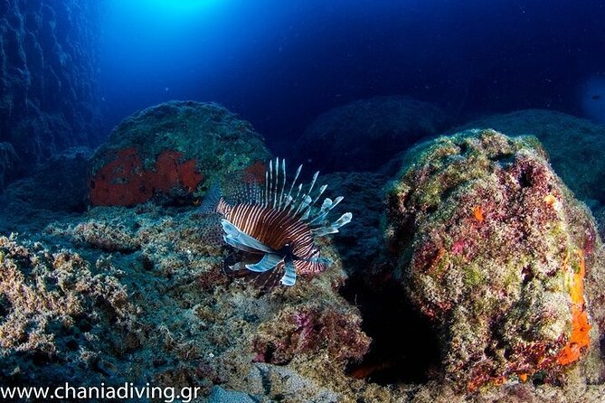 Crete-Chania: Snorkeling & Scuba Dive for Beginners by Boat - Snorkeling and Scuba in One Boat Trip: How the Choice Works