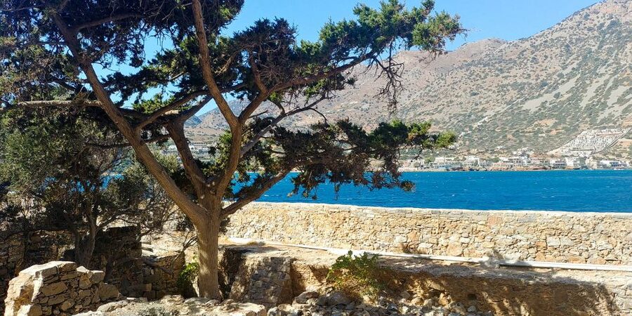 Crete: Day Trip to Agios Nikolaos and Spinalonga Island - Spinalonga Island: Venetians, Turks, and Isolation That Hits in Person