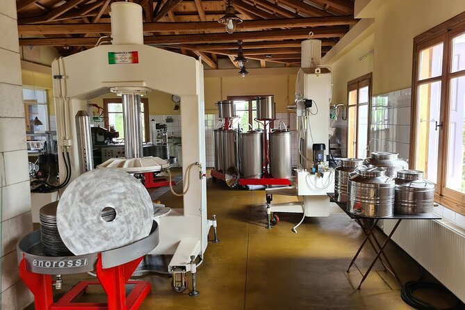 Crete Discovery Palace of Knossos, Wine and Olive Oil Experience - Lyrarakis Winery: Indigenous Grapes, Vineyard Views, and a Smart Way to Taste