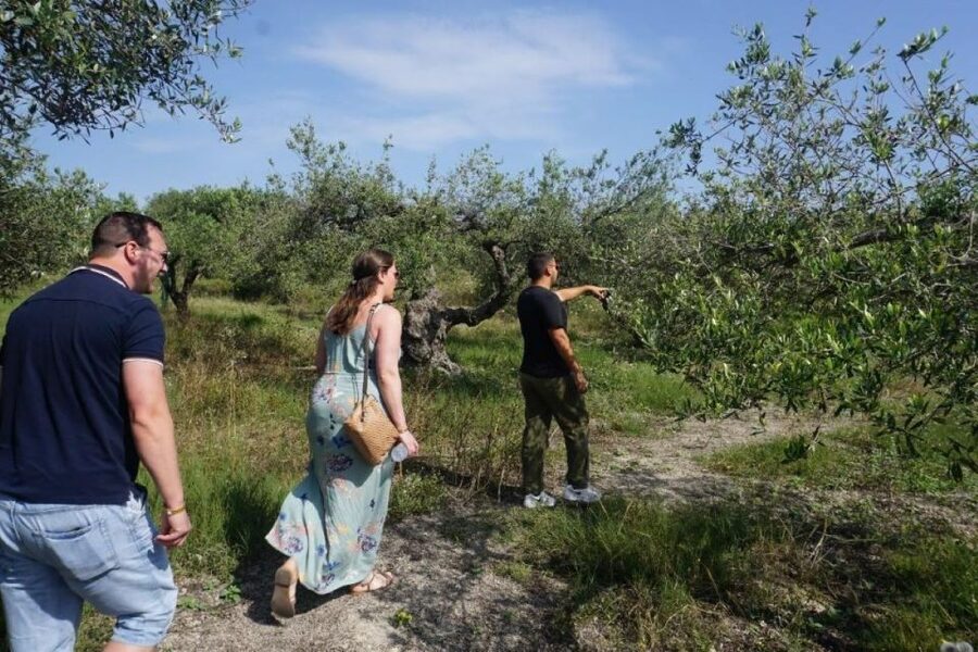 Crete: Full-Day Cretan Wines, Olive Oil, Raki and Food Tour - Olive grove and olive mill: tasting fresh oil without the guesswork