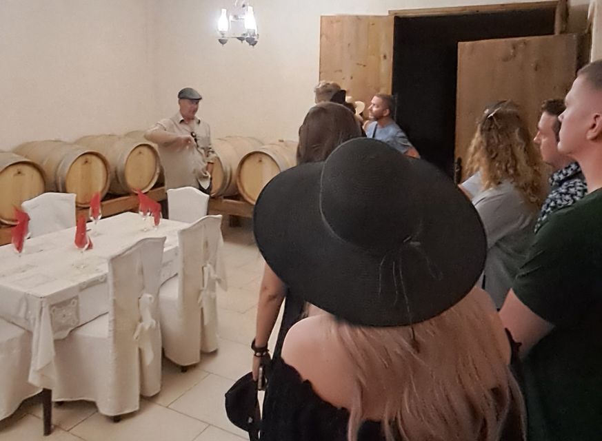 Crete: Full-Day Cretan Wines, Olive Oil, Raki and Food Tour - Vineyard walk and winery tastings, including an organic approach