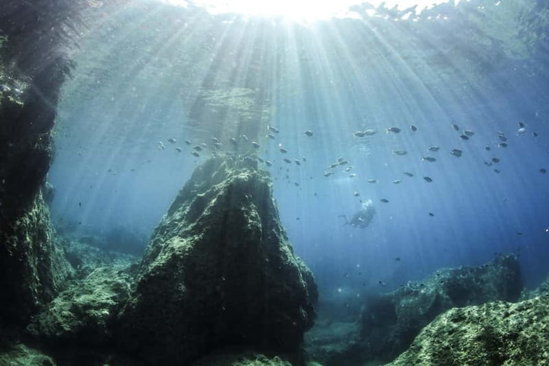 Crete: Guided Diving Experience for Certified Divers - Hotel pickup and speedboat timing: the logistics that affect your comfort