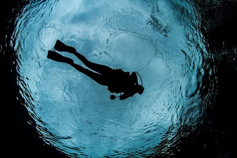 Crete: Guided Diving Experience for Certified Divers - What is included (and what you might pay extra for)
