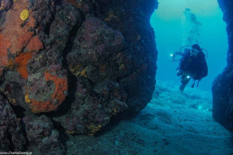 Crete: Guided Diving Experience for Certified Divers - Who this tour fits best in real life
