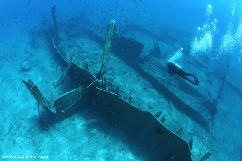 Crete: Guided Diving Experience for Certified Divers - Meeting at 9:00 AM in Kounoupidiana and getting matched to your skills