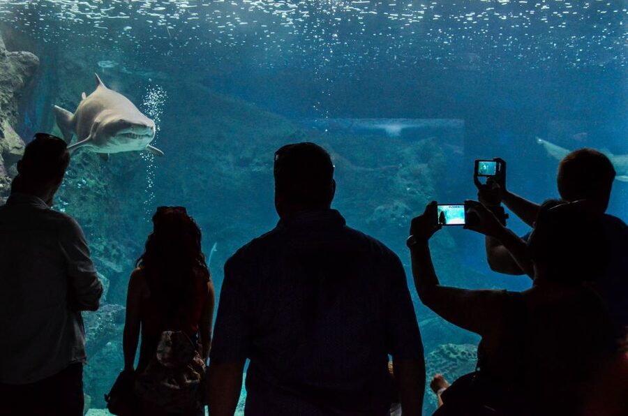 Crete: Heraklion Center, Local Market and Creta Aquarium - Should you book this Heraklion center and Cretaquarium tour?