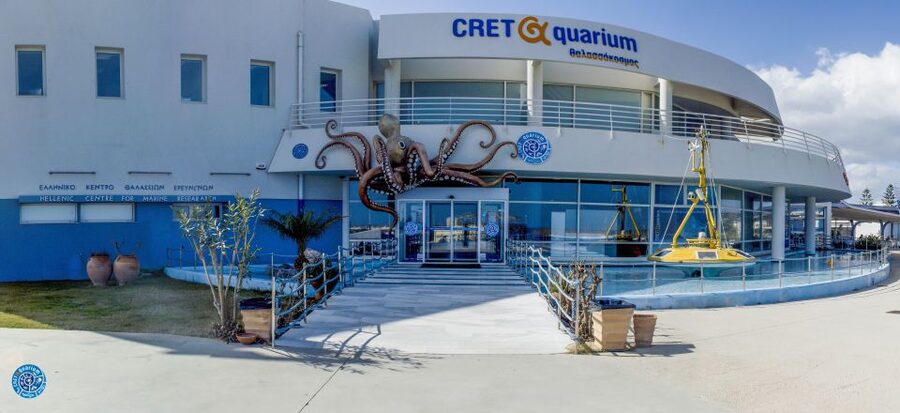 Crete: Heraklion Center, Local Market and Creta Aquarium - How the 6-hour Heraklion plan actually fits together
