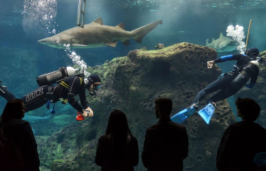Crete: Heraklion Center, Local Market and Creta Aquarium - Cretaquarium: your skip-the-line ticket and how to use the 80 minutes