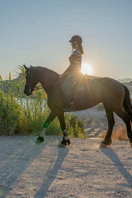 Crete Horse Riding: East Coastline Ride - Key points