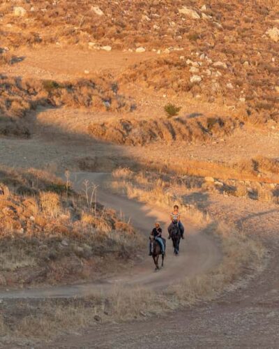 Crete Horse Riding: East Coastline Ride