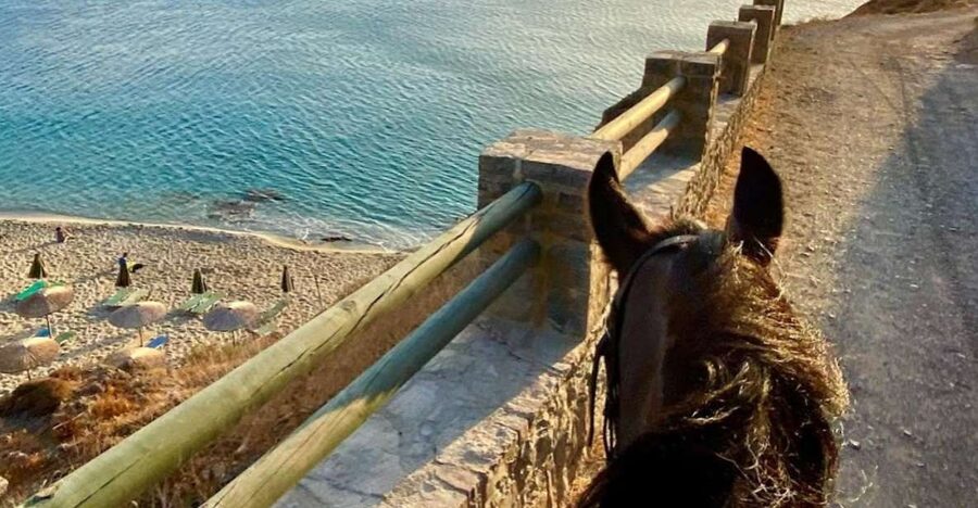 Crete Horse Riding: East Coastline Ride - Saddle skills for beginners: What 1.5 hours is really good for