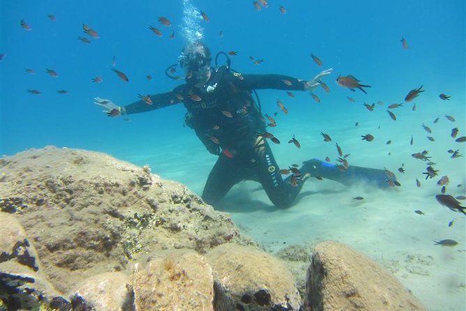 Crete Introductory Scuba Diving Experience - Key highlights to look for