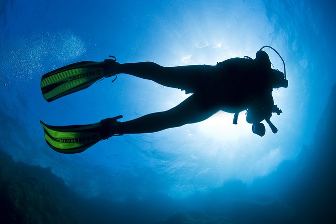 Crete Introductory Scuba Diving Experience - Location choices: Heraklion, Chania, or Rethymno-Georgioupolis