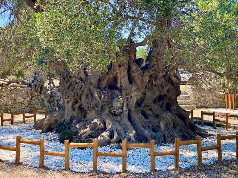 Crete: Kavousi Canyon Guided Hike & Beach Swim - Tholos Beach: your hour of sand, water, and actual recovery time