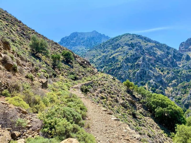 Crete: Kavousi Canyon Guided Hike & Beach Swim - What to bring so you do not end up miserable halfway up
