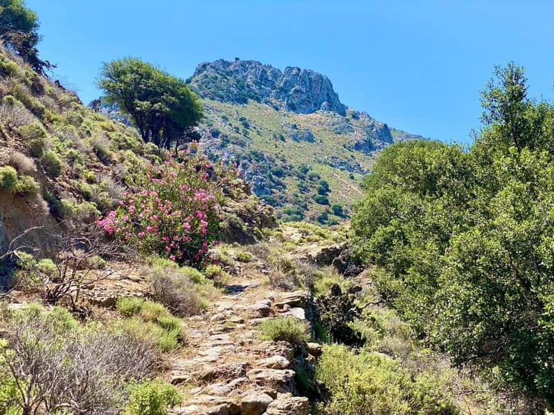 Crete: Kavousi Canyon Guided Hike & Beach Swim - The Minoan paths: why this route feels different from a generic nature walk