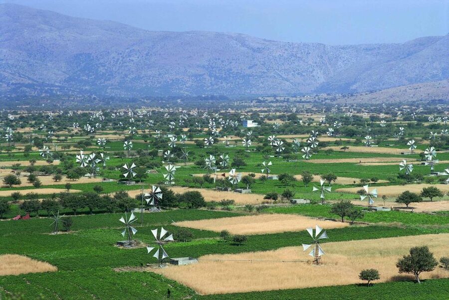 Crete: Knossos Palace, Olive Oil, Wine & Cretan Traditions - Traditional Cretan Lunch in Peza Village: Where the Day Lands