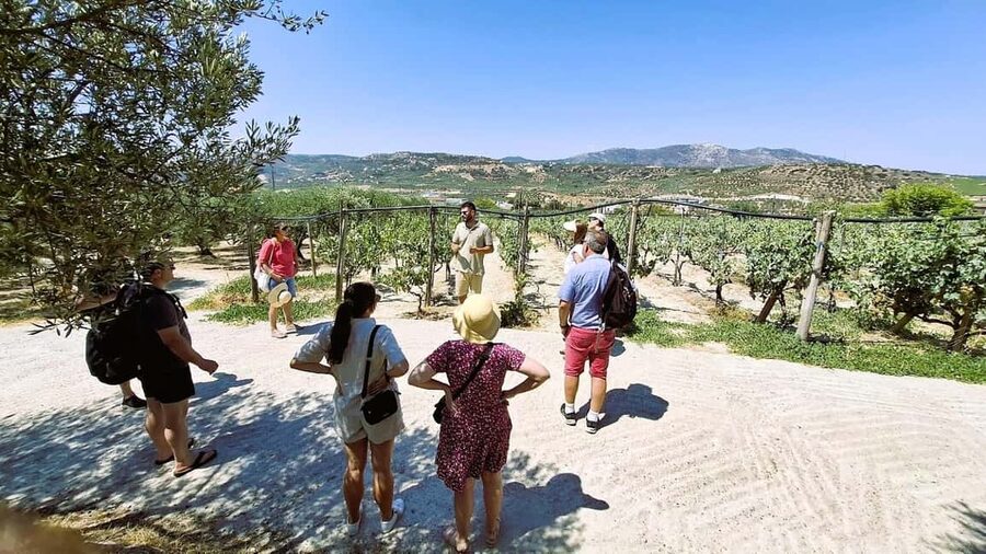 Crete: Knossos Palace, Winery & Olive Oil Tour with Lunch - Getting to Knossos, without the hassle
