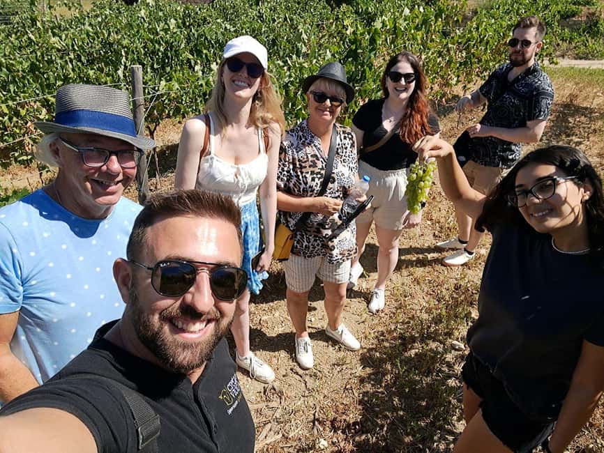 Crete: Knossos Palace, Winery & Olive Oil Tour with Lunch - Timing and pacing: how this 6-hour day stays comfortable