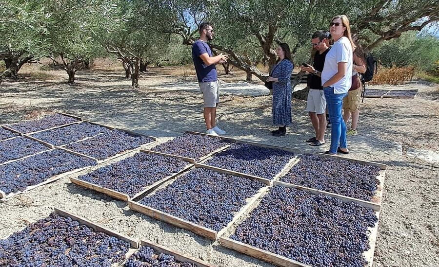 Crete: Knossos Palace, Winery & Olive Oil Tour with Lunch - Practical tips so your day runs smoothly