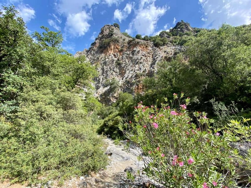 Crete: Kritsa Canyon Guided Hiking Tour - What you actually get included: water, snack, safety, and a guide who manages the details