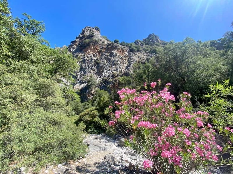 Crete: Kritsa Canyon Guided Hiking Tour - From your hotel pickup to the trailhead, it runs like a smooth road trip