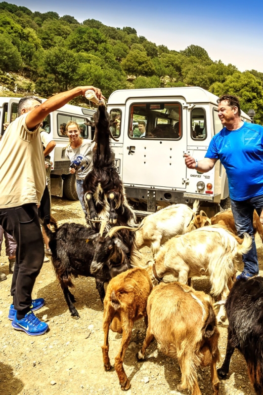 Crete: Land Rover Safari on Minoan Route - Key reasons this Minoan Route safari is worth your day