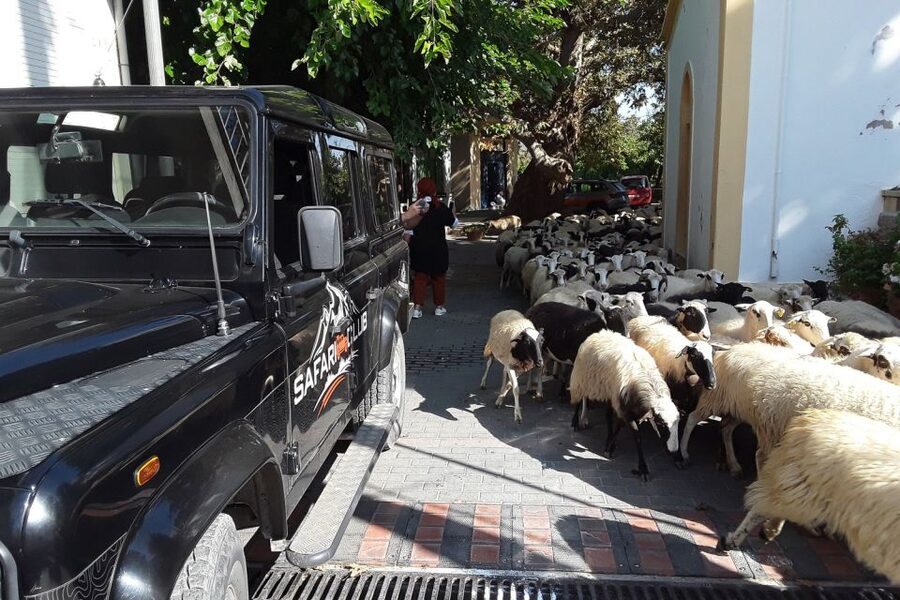 Crete: Land Rover Safari on Minoan Route - The Minoan Path dirt tracks, wildlife sightings, and mitato myths