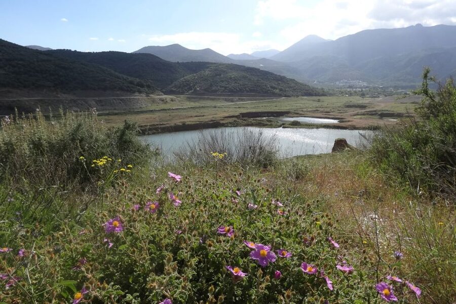 Crete: Land Rover Safari on Minoan Route - Cheese-making moments, animal feeding, and what lunch actually feels like