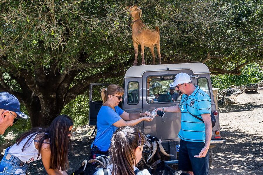 Crete: Land Rover Safari on Minoan Route - Zeus’s cave entrance fee and how to plan for it