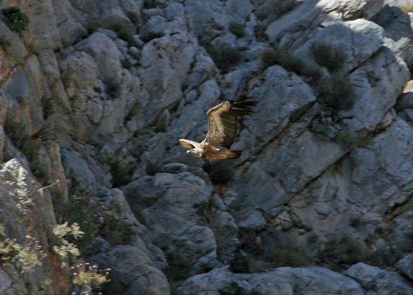 Crete: Land Rover Safari Through Katharo Plateau - From pickup and Mirabello Bay to the start of Katharo Plateau country