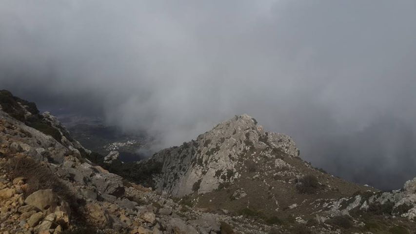 Crete: Land Rover Safari Through Katharo Plateau - The big climb: woodland roads, mountain passes, and the 1,500-meter viewpoint