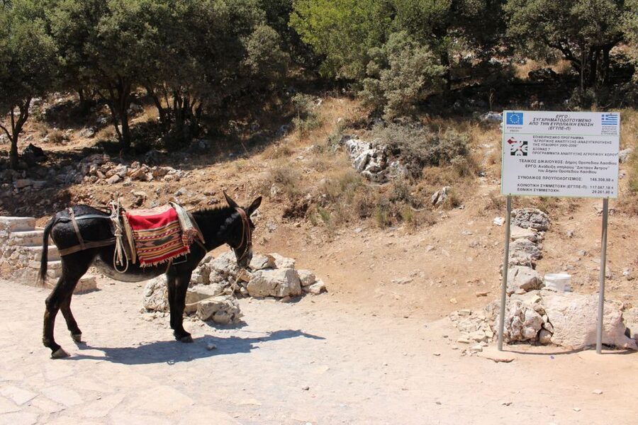 Crete: Land Rover Safari Through the Plateaus - Why this Land Rover safari makes a long day feel focused