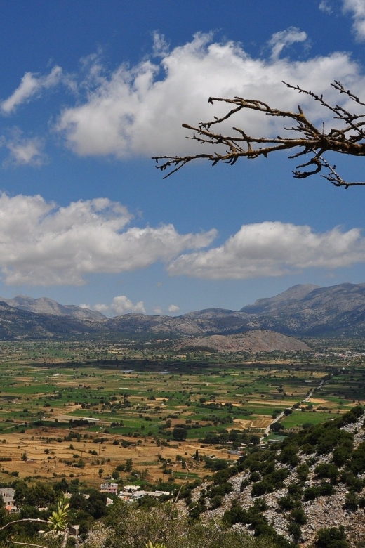 Crete: Lasithi Plateau and Knossos Palace Day Tour - Pacing, walking, and what to bring