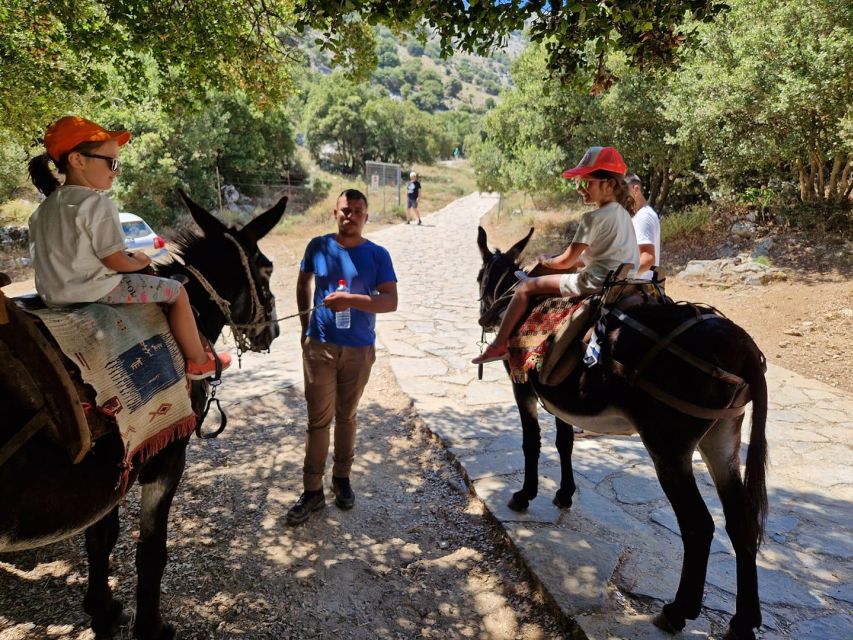 Crete: Lasithi Plateau Zeus Cave Guided Jeep Safari Tour - Lasithi Plateau Trails Near 1,150 Meters: The Part That Feels Like a Movie