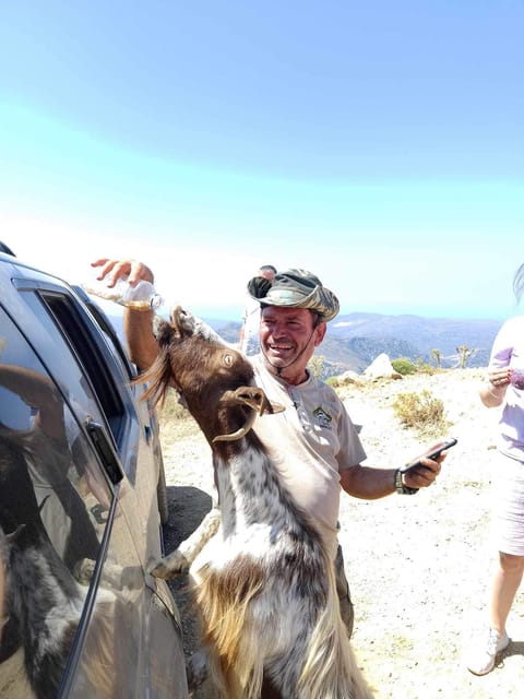 Crete: Lasithi Plateau Zeus Cave Guided Jeep Safari Tour - Zeus Cave: Ticket Cost, Closing Dates, and What to Plan For