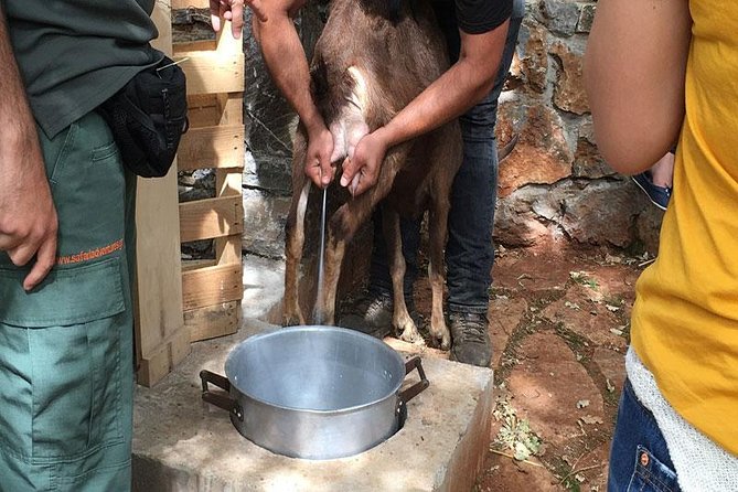 Crete Off-Road & Flavors Safari: Wine, Olive Oil & Mountain Life - Price and value: what you’re really paying for