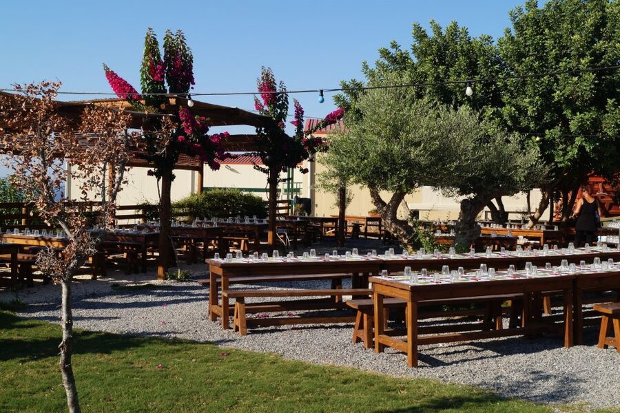 Crete: Olive Oil Factory Tour, Dinner & Traditional Dancing - Should you book the Cretan olive oil factory tour with dinner and dancing?