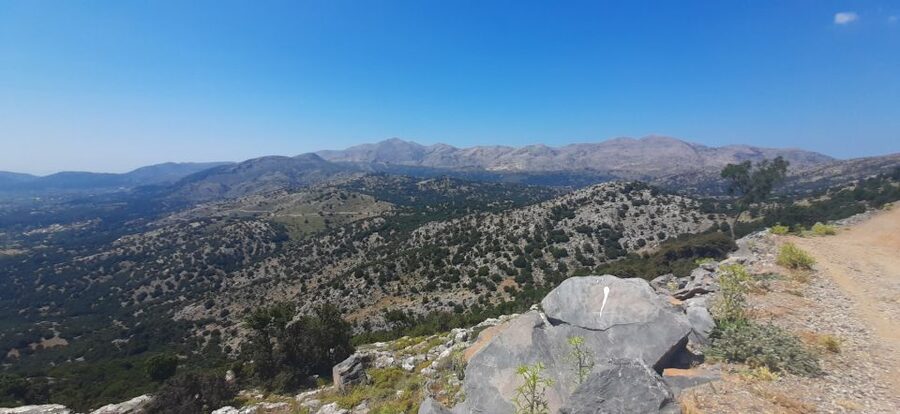 Crete: Olive, Wine, & Raki on a Flavorful Culinary Journey - Should You Book This Cretan Olive, Wine, and Raki Tour?