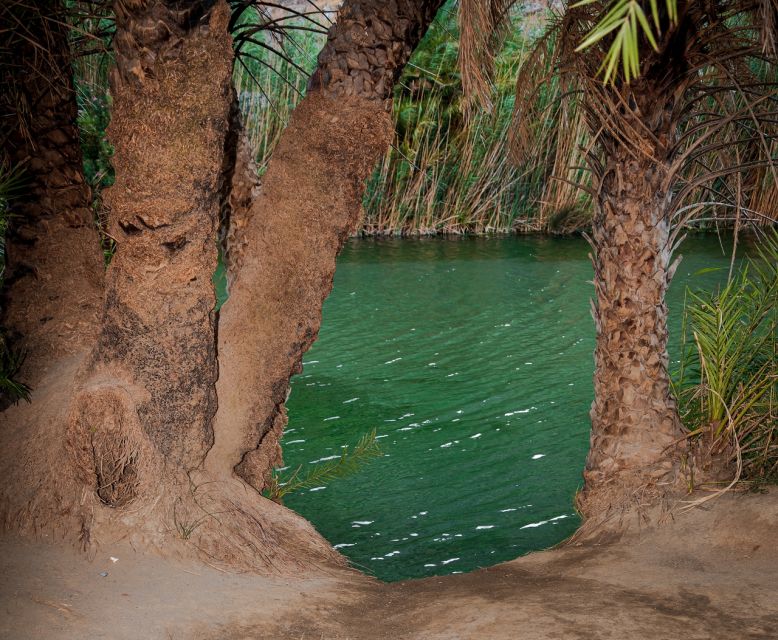 Crete: Preveli Tropical Beach and Palm Forest - The 4 hours at Preveli Beach: sand, swimming, snorkeling, and that river-to-sea scene