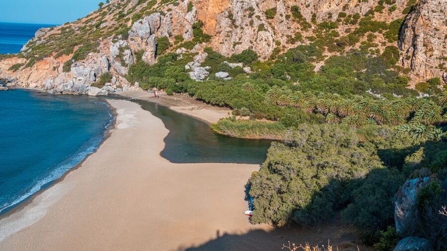 Crete: Preveli Tropical Beach and Palm Forest - Palm Forest walk: Theophrastus palms, shade, and tropical flowers