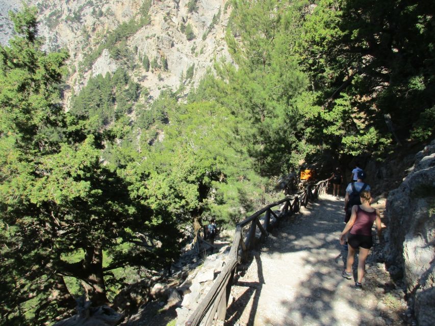 Crete: Private Guided Trek to Samaria Gorge with Transfer - Agia Roumeli: Lunch, Shopping, and a Swim Break
