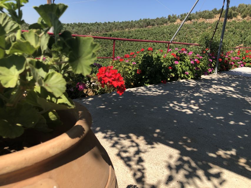 Crete Private Tour: The Secrets of Wine, Olives & Honey - Getting from Rethimno: a private ride that also includes off-road time