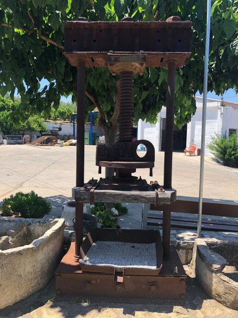 Crete Private Tour: The Secrets of Wine, Olives & Honey - Melidoni Olive Oil mill: from production steps to tasting premium varieties